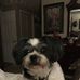 Ollie Boyd - Facebook