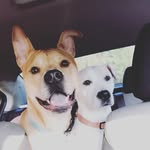 OllieMans&CherryGirl - @olliemanscherrygirl - Instagram