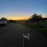 Ollie_collins - @ollie.c2510 - Instagram