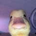 Ollie Crouch - Facebook