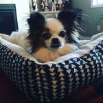 @ollie_doddle25 - Instagram