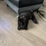 Olliedodds🌈🌈🌈 - @olliedodds5 - Instagram