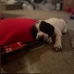 Ollie Gilbert-Childs - @ollie_gilbert_childs - Instagram