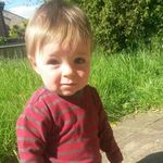 ollie - @ollie_gilbert_omg_ - Instagram