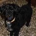 Ollie Hackett - Facebook