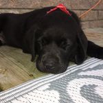 Ollie Hancock - @olliehancock162 - Instagram
