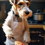 Ollie Hardman - Facebook