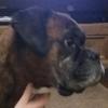 Ollie Holmes - @marther1273 - TikTok