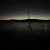 ollie - @ollie.holmes_ - TikTok