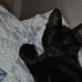 Ollie Hooker Griggs - Facebook