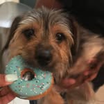 Ollie John - @theollieone - Instagram