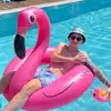 ollie_morris20 - @ollie_morris20 - TikTok
