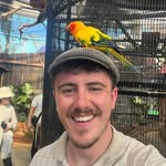 Ollie Morris - @olliemorrio - Instagram