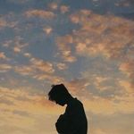 Ollie - @olli.ereed - Instagram