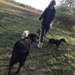 @olliesearsphoto - Instagram