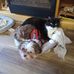 Ellie Smiley - Facebook
