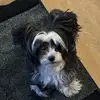 user4876177519819 - @ollie.sutton - TikTok