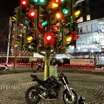 ollie - @ollievanlo - Instagram