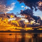 Ollie Van - Facebook
