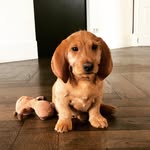 Ollie van Betten - @officiollie - Instagram