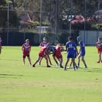 Ollie Van Ewyk - @ollie_van_ - Instagram