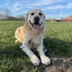 Ollie Van ‘t Nielerdal - @nielerdalletje_ollie - Instagram