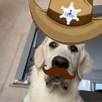 Ollie Weaver - Facebook