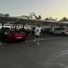 olliewebber11 - @olliewebber11 - TikTok