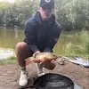 olliewebber3 - @olliewebber3 - TikTok