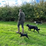 Ollie Waldron-wheeler - @ollieww12121 - Instagram