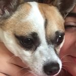 Oliver Pincus - @ollie_wit_the_spots - Instagram
