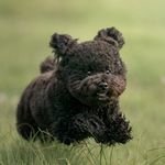 Ollie 🧸 - @wittleollie - Instagram