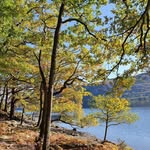 Olly Arnold - @uk_hiker_4_days - Instagram