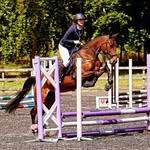 💜EQUESTRIAN/SHOWJUMPER&COACH💜 - @ollybarnes22 - Instagram