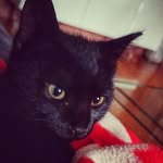 Olivia - @olly_black_ - Instagram