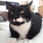 Olly Brooks - @brooksolly - Instagram