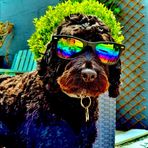 O-lly Carter - Facebook
