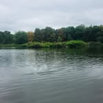 Olly Cole - @fishing_account_olly - Instagram