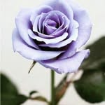 Ollycole - @ollycole23 - Instagram