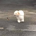 Olly cook - @cook.olly - Instagram