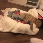 Olly Cooper - @olly_cooper01 - Instagram