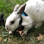 Oliver (Olly) Ellis - @olly_ellis_ - Instagram
