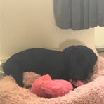 Olly Harper - Facebook