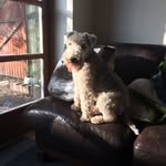 Olly Harris - @olly__4 - Instagram
