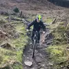 Olly - @olly.harris0812 - TikTok