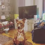 Olly Hines - Facebook