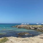 @msn._ollyhoffman - Instagram
