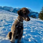 Olly Hoffmann - @hoffmannolly - Instagram