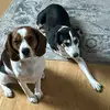 Holly - @holly.horne1 - TikTok