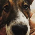 Olly Long-Tale - @oliver_puzis - Instagram